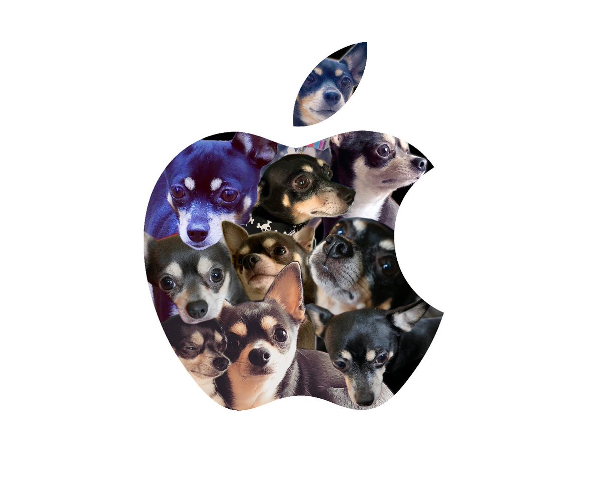 An Apple logo with a collage of photos of my dogs, Henri (chihuahua) and Mizzy (chihuahua/rat terrier mix).