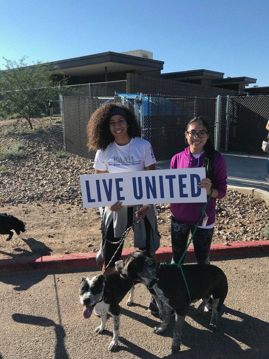 unitedwayaz's tweet photo. @EllerCollege, @azpm, @BBBArizona, @yelptucson and @OfficialAlorica of Tucson assisted the Pima Animal Care Center (@PimaAnimalCare) today for #DOC2018! Thank you. https://t.co/BnDPTEubZI