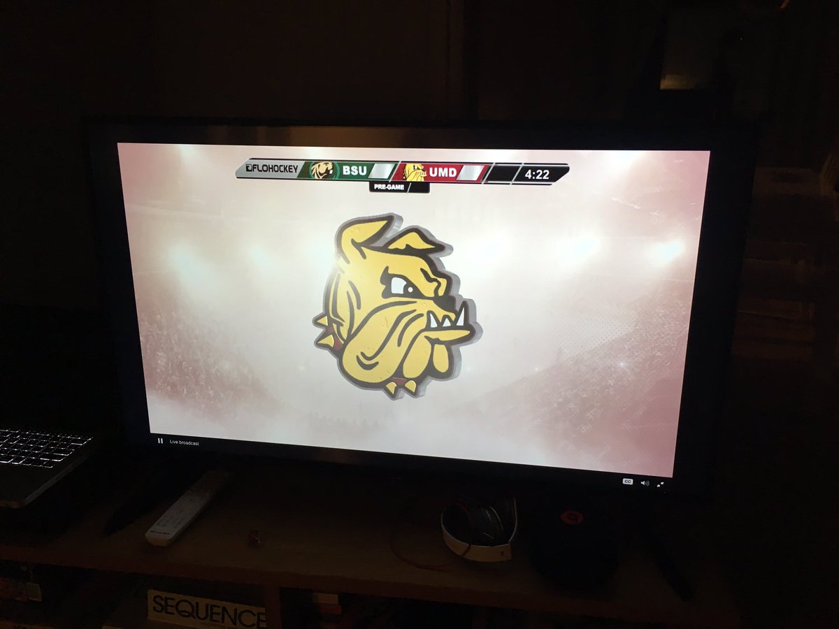 jheals7's tweet image. Cheering on the doggies from Sweden 🇸🇪 #Letsgodogs #NBA @UMDWHockey 🐶🐶