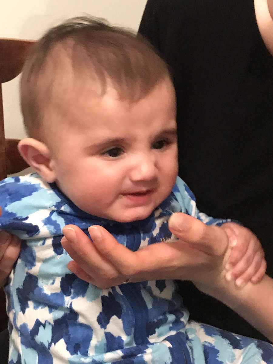 SteveRoberts_'s tweet photo. AYDIN EATS ACTUAL SMASHED AVO AND NOW WILL NEVER AFFORD A HOUSE
#adyinaslanroberts #firsttimefood https://t.co/KmB5Nsr9cv