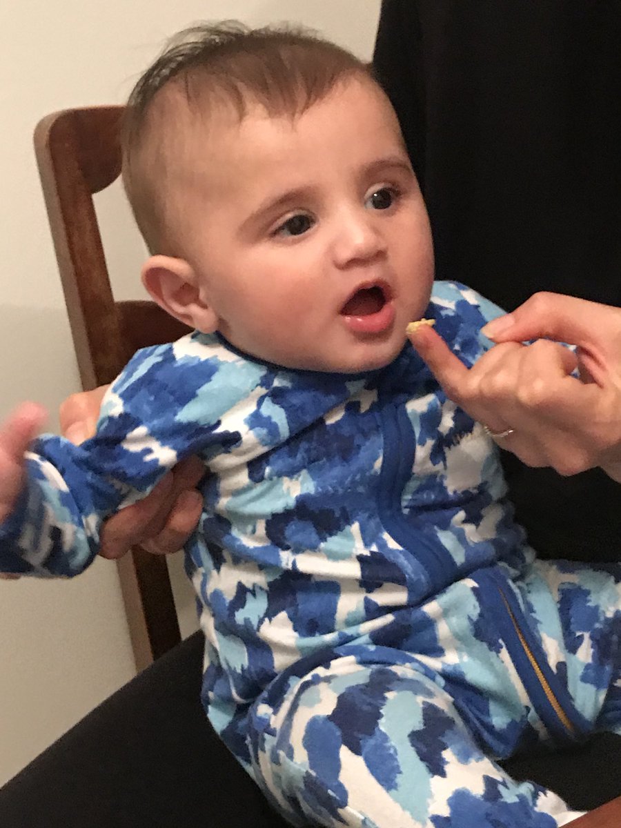 SteveRoberts_'s tweet photo. AYDIN EATS ACTUAL SMASHED AVO AND NOW WILL NEVER AFFORD A HOUSE
#adyinaslanroberts #firsttimefood https://t.co/KmB5Nsr9cv