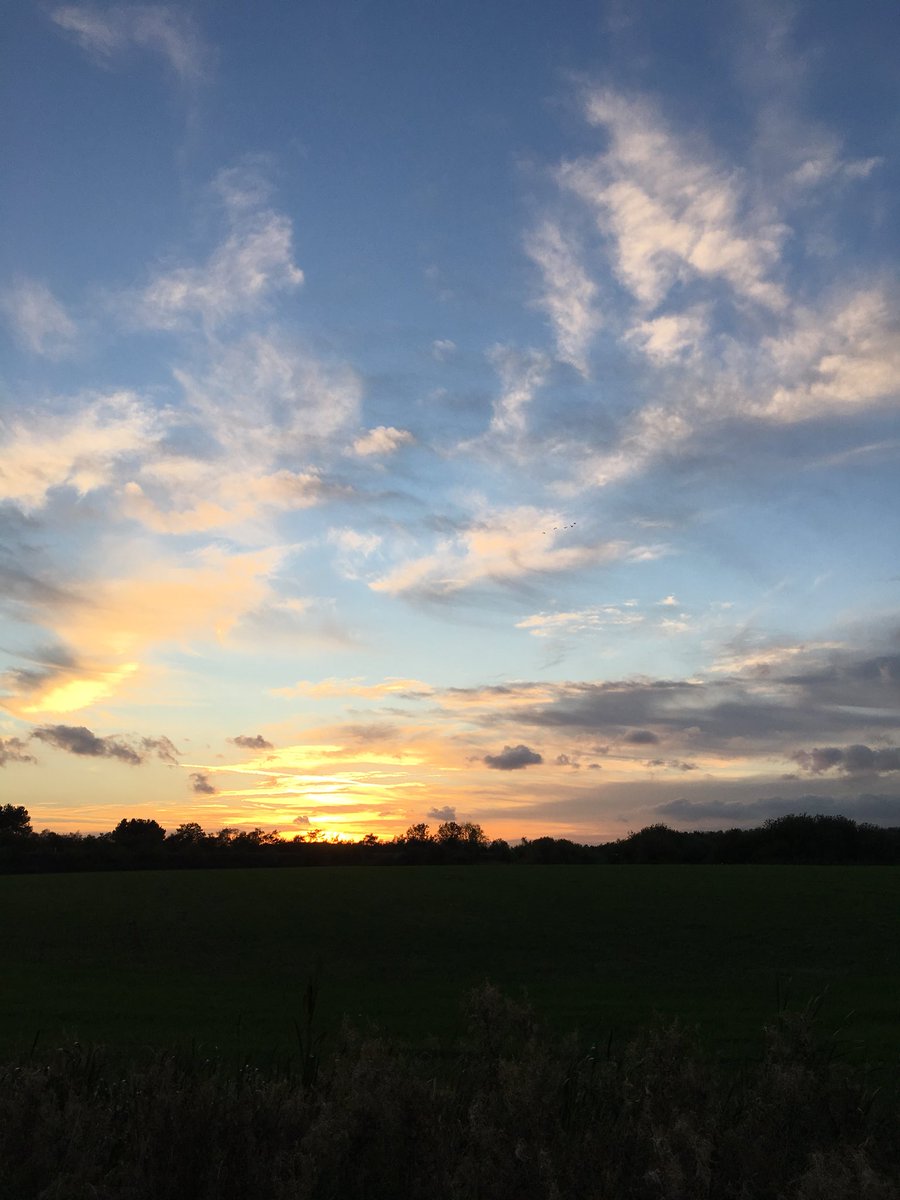 Our walks the last two nights have been amazing! Enjoying life!! 💕
#beagles #livingwithleish