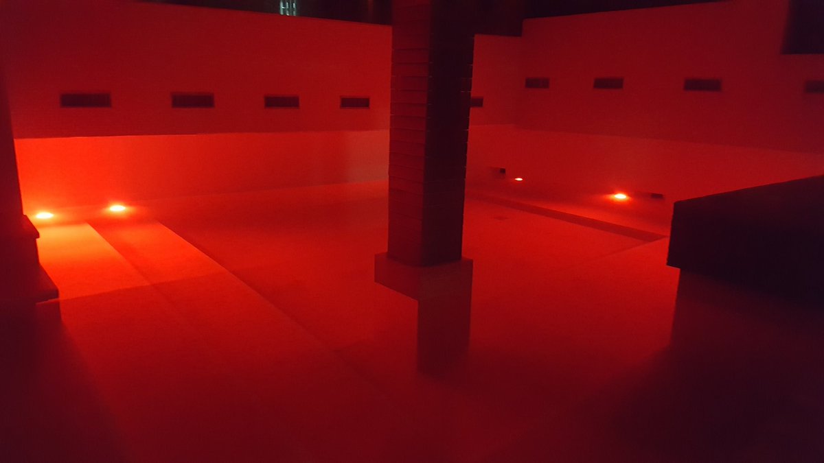 Mikereis20's tweet photo. Hotel seguro?#sobrevivealapurga https://t.co/f37TQpmsng