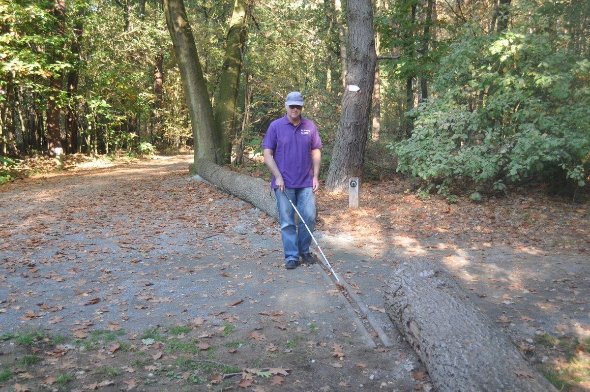 OmgevingVL's tweet image. Zondag 21 oktober is iedereen tussen 14u en 17u welkom aan het educatief centrum De Vroente op de Kalmthoutse Heide voor een wandeling van drie km speciaal aangelegd voor #blinden en #slechtzienden. App Vlinderpad lne.be/wandelpad-vlin…