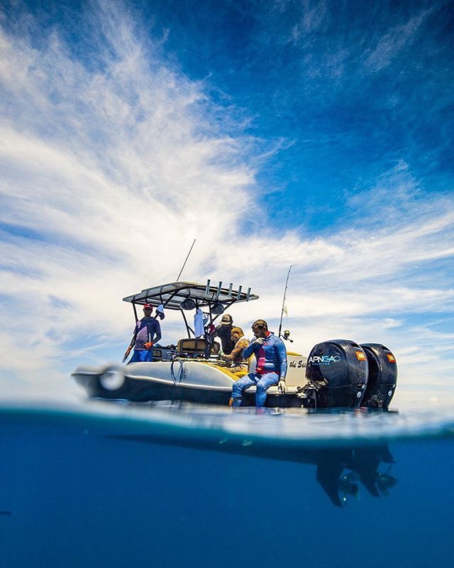 @siren_of_the_sea In action ⭐️ What a clear day | Maldives 🇲🇻 #apneamaldives #sirenofthesea #cinematography #dronecinematography #photooftheday #ocean #sea #spearfishing #spear #fishing #maldives #canon #canon5dmarkiii #sealife #beach #beachlife #scuba #… ift.tt/2Oyxvvm