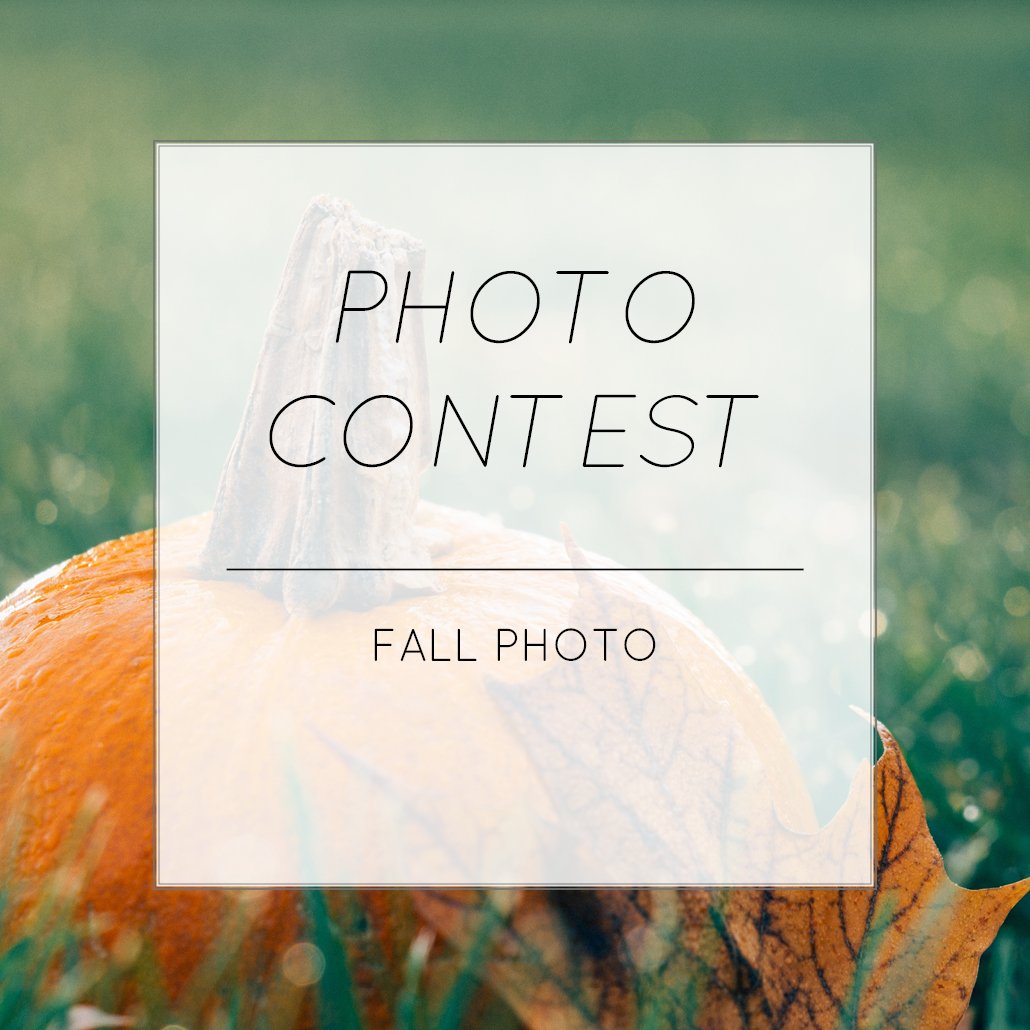 ApeCase's tweet photo. CONTEST ALERT!!!:

Last Chance! Fall Theme Photo Contest:

Submit your photo by tagging @ape_case on Instagram or @apecase on FB and Twitter with the hashtags #ACPhotoContest and #WhereApeCaseGoes

See https://t.co/ryAUqixuOg for official contest rules https://t.co/AOLm8p4qCz