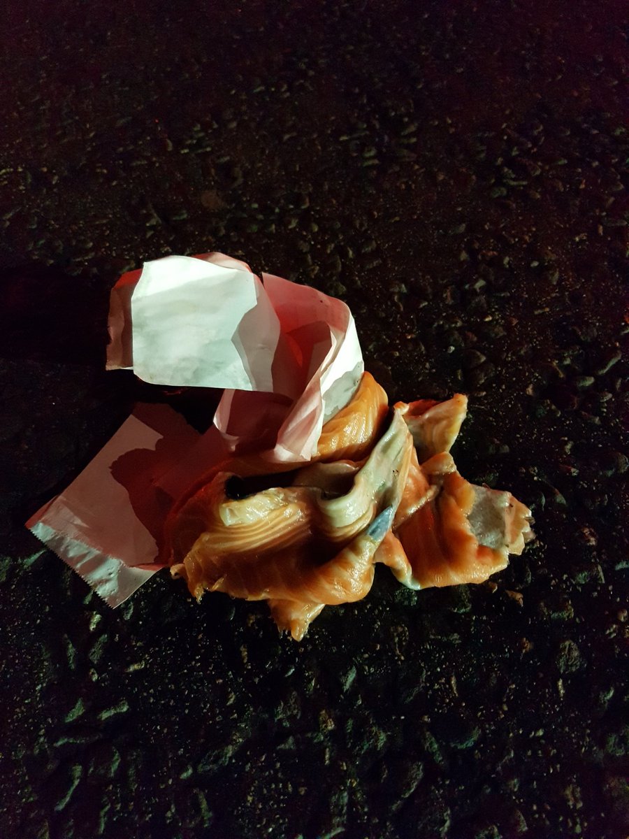 #roadkillsalmon spotted In London