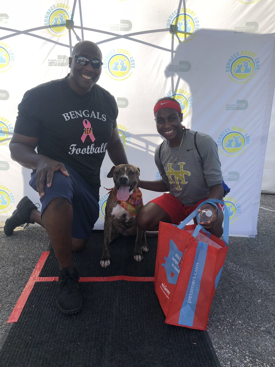 AdoptMiamiPets's tweet photo. Celebrate National #AdoptAShelterDog Month by adopting today at our #ASDMegaMatch! With so many #ASDPets looking for their fur-ever home, you can certainly #findyourfido! https://t.co/C1wF3uaoCl