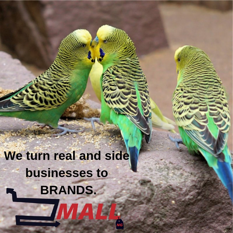 umana_aniekan's tweet photo. How long did it take you to get it?

Sign up here ⤵⤵

https://t.co/i1OSNtlAzN

#emall_ng #marketing #nigeria #madeinnigeria #wearenigeriancreatives #nigeriancreatives #madeinnaija #ecommerce #digitalmarketing @OgbeniDipo @markessien @DrJoeAbah @Omojuwa @Osi_Suave https://t.co/dHep0Bpexj