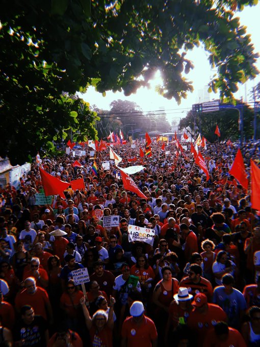 Ver imagem no Twitter