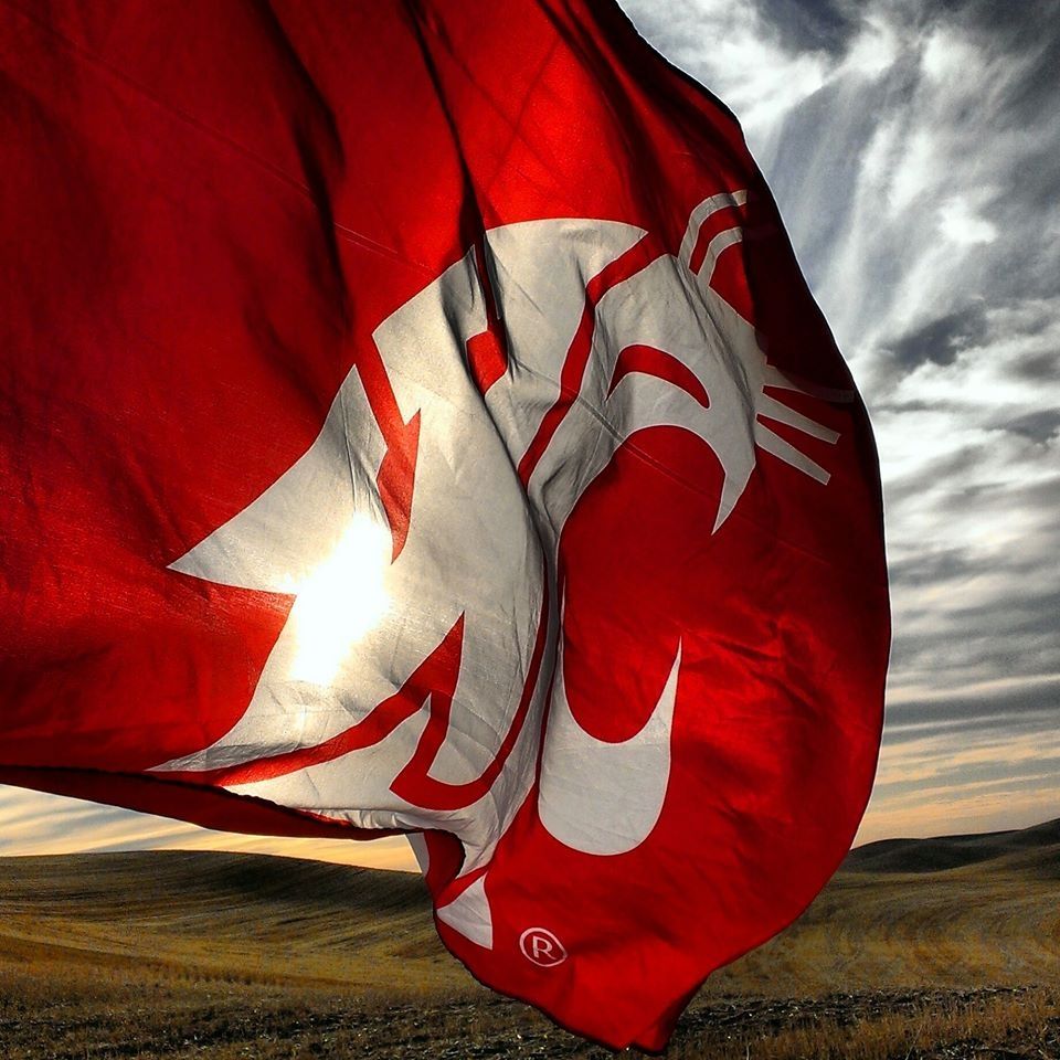 SteveRobertello's tweet image. Great to see @CollegeGameDay return to Pullman, WA for the @WSUCougars! Once a Coug, always a Coug #GoCougs