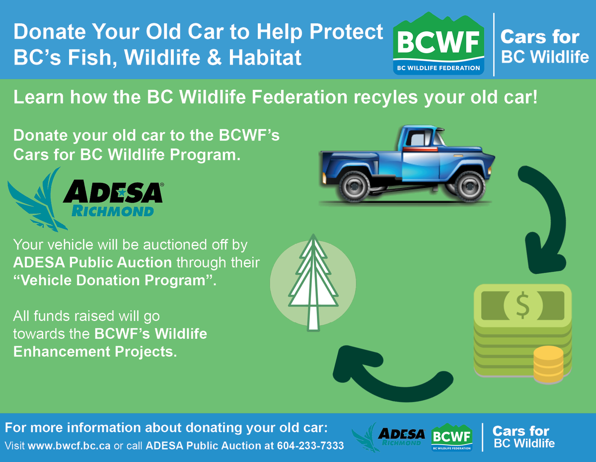 B.C. Wildlife Federation tweet media