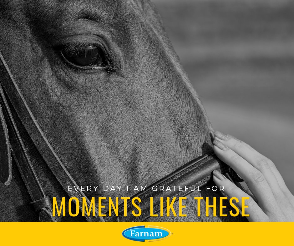 Perhaps the best moments in life! #horselove