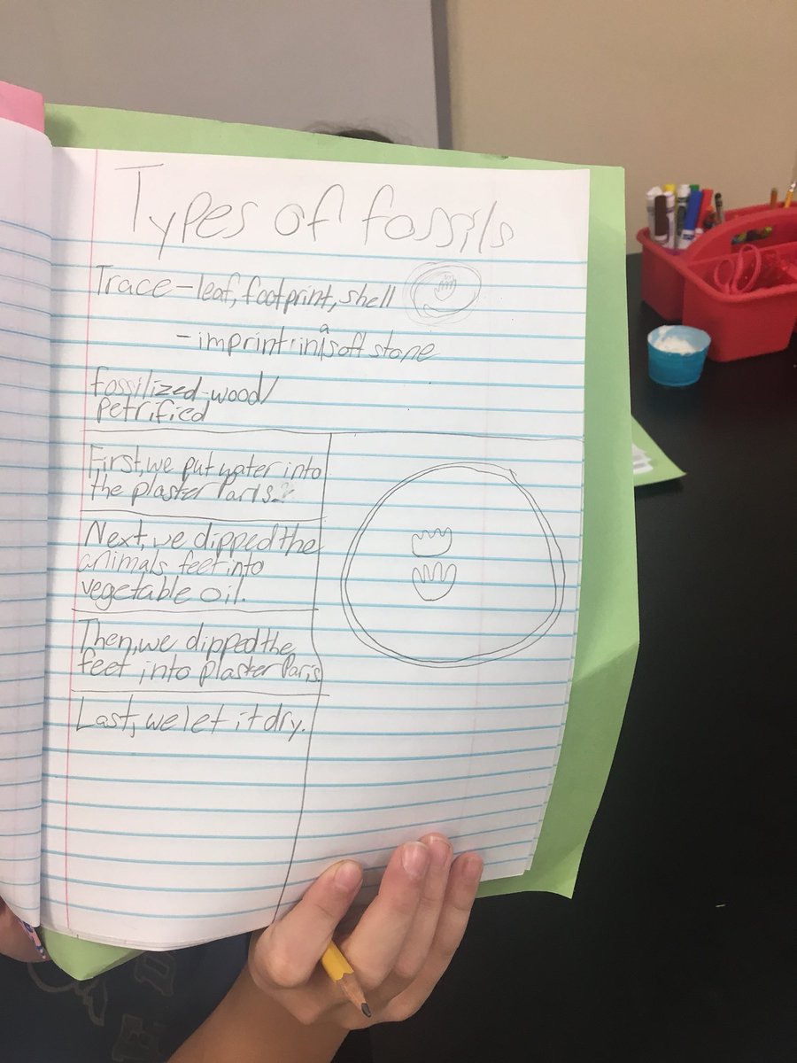 StepNoodles's tweet image. Changing states of matter &amp;amp; fossils in one lesson... oh yes we did! Kids loved seeing the plaster harden and get warmer as it became a solid. #sciencelabRULES @LangtreeCharter @CSUSAhq