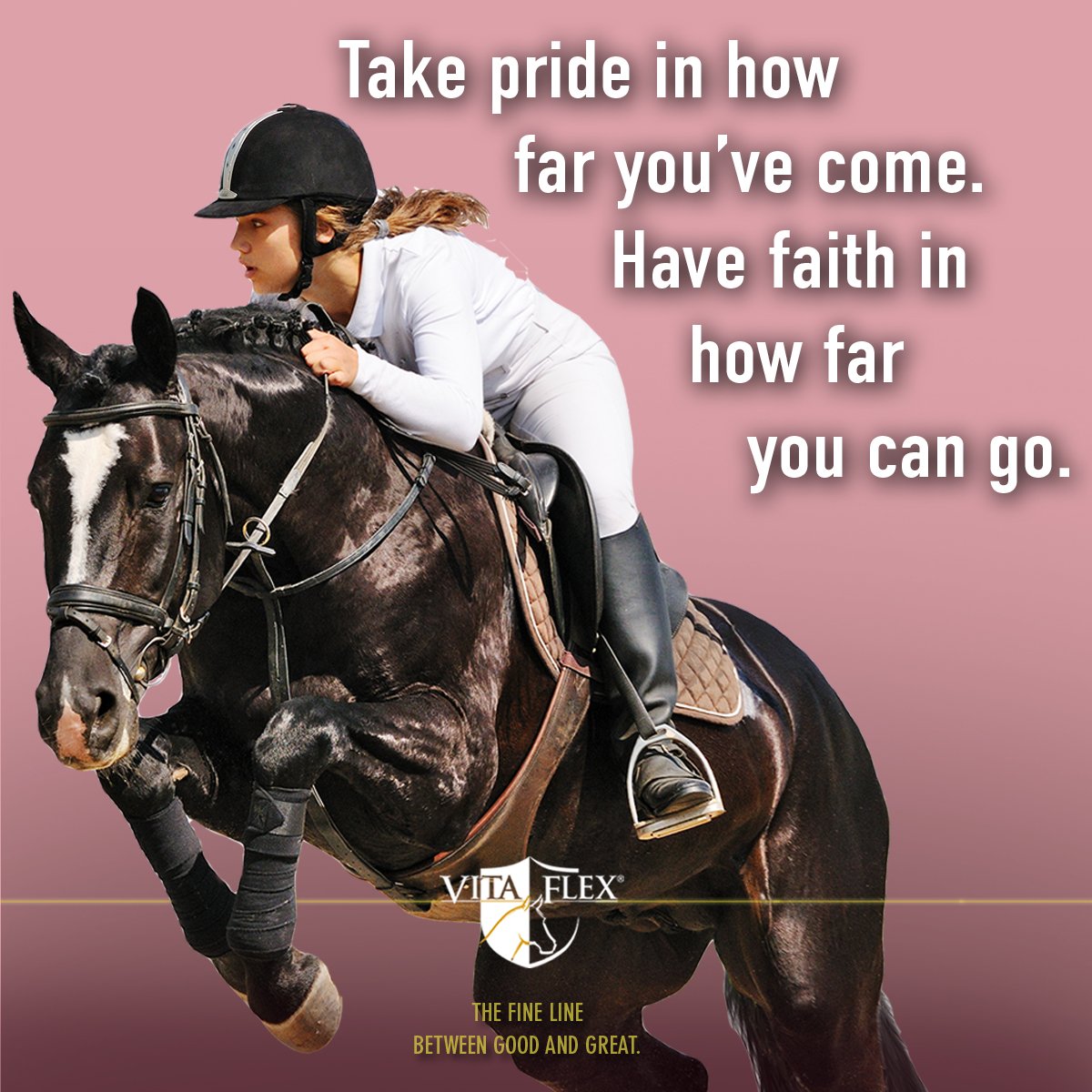 vitaflex's tweet photo. Take pride is how far you've come! #horsesoftwitter #horselove https://t.co/6uYaMqnqtm