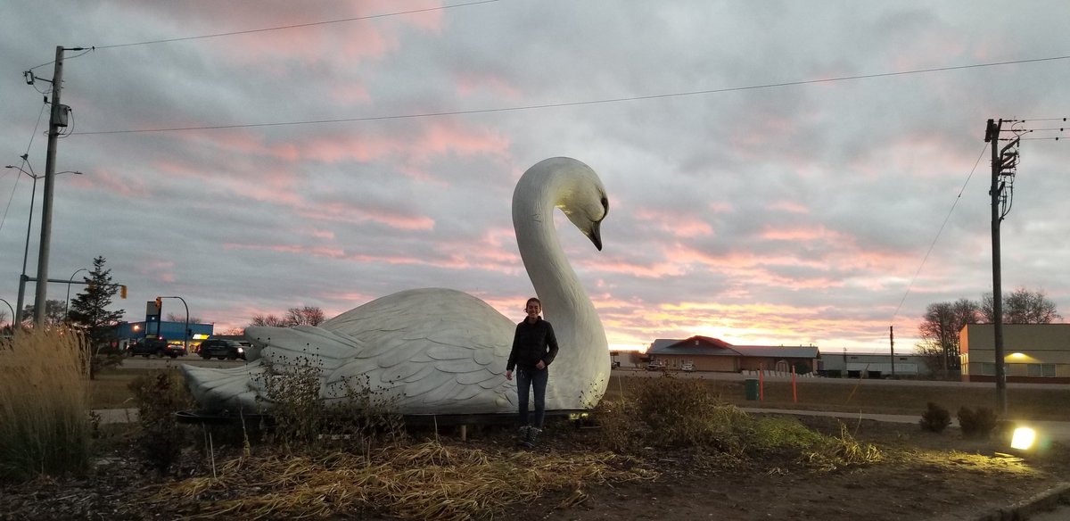 HudsonBayWQMS's tweet image. Thanks Brynn for a super successful EPPWB trip! #countingbacti #swanriver #ecccsci