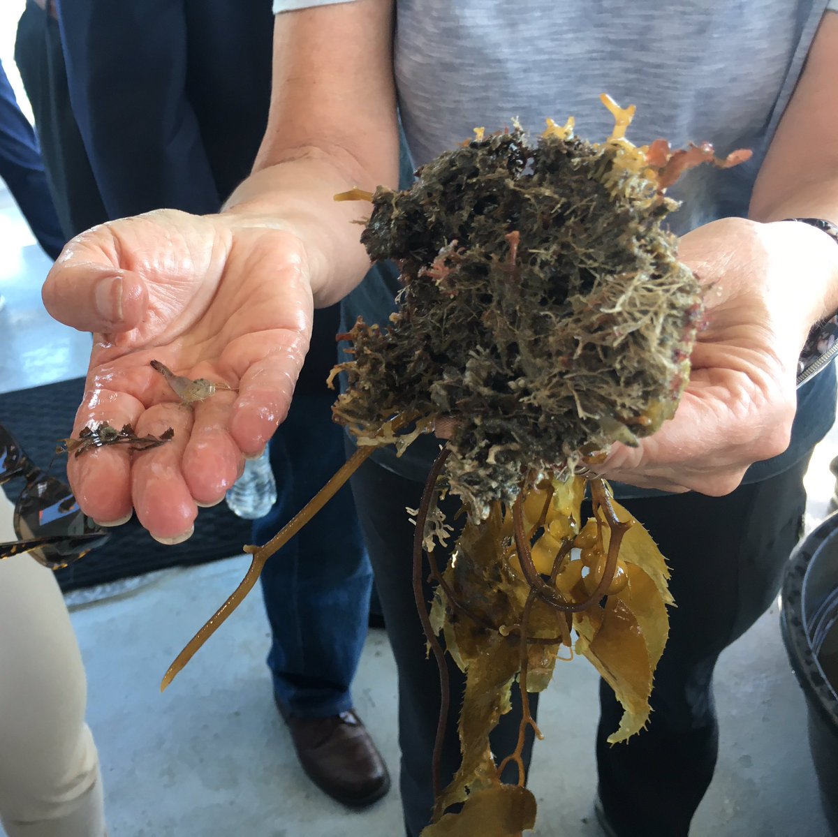 ThinkEarthEd's tweet photo. What a great day for a Think Watershed floating lab cruise! Over the last 10 years more than 20,000 students have taken this trip and been inspired to “Think Watershed.” Thanks to @portofla @wrdsocal and all our sponsors and supporters! 
#thinkwatershed #enviroed #marinescience https://t.co/UqB52eyHoV