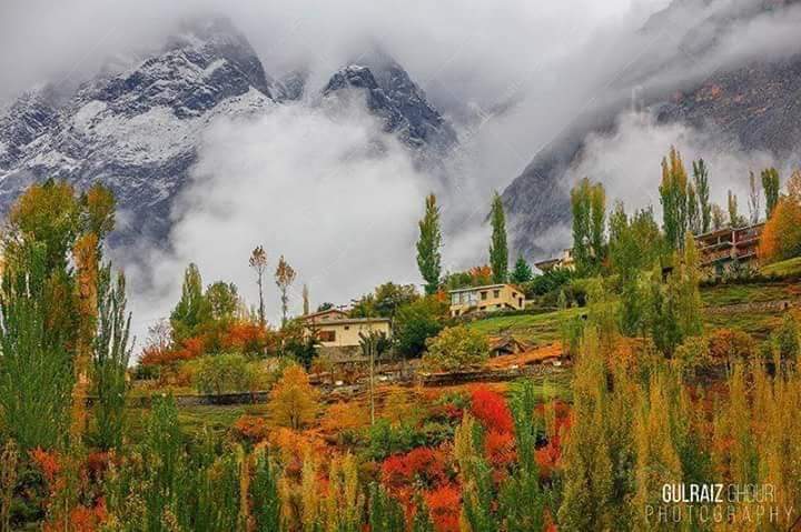 Beautifulistan7's tweet photo. The mesmerising and breath taking #AutumnBloom in #GilgitBaltistan attracts thousands of nature lovers to the region. 
#DestinationPakistan 
#BeautifulPakistan https://t.co/LbgrJ69Zq6