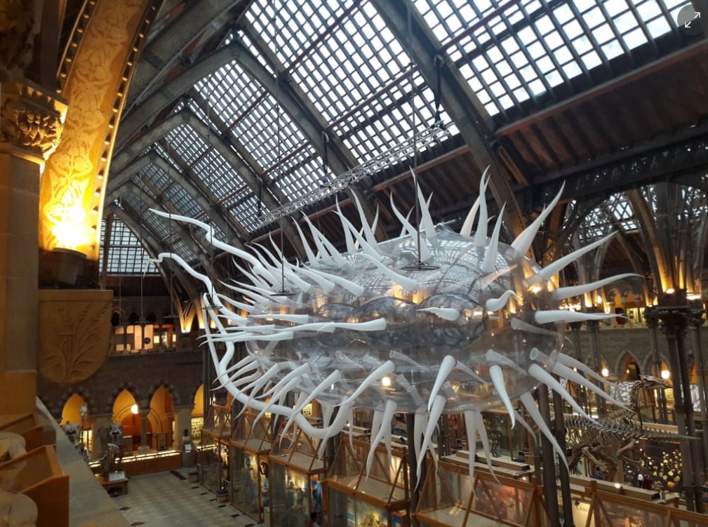 OxfordSparks's tweet photo. Putting the finishing touches together! Ahead of the #BacteriaWorld exhibition @morethanadodo (launching tomorrow 19th October) a giant inflatable sculpture of E.coli is installed! https://t.co/YRTccdzXN8