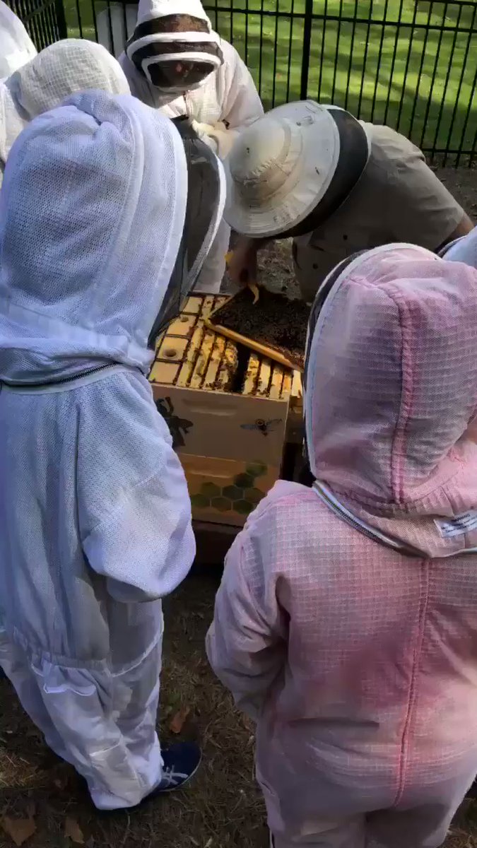 CarlosGarcia4's tweet photo. Live from our Cox honeybee hives this morning! Our friend Nick frm @BeeDowntown is hosting tours of our Cox hives for our #BeeAmbassadors! Never a dull day with #LifeAtCox! ππππ https://t.co/YNO5Y3Rm35 https://t.co/Dt1TTKd5Ly https://t.co/SbV5mr9fJB