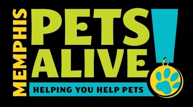 MemPetsAlive's tweet photo. More #PintsForPits silent auction items...
πΆ @herbivorebeauty sets (#creultyfree beauty π)
πΆ @KrisAcklen private show... ideal for an intimate holiday party!
πΆVet & grooming packages from Utopia
Get your tickets if you haven't already: https://t.co/ElNUTwvn20 https://t.co/VITv0hg0ww