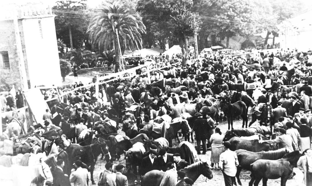 SabiasGalicia's tweet photo. Sabías que estes días celébrase en Mondoñedo a festa mais antiga de Galicia e unha das mais antigas de Europa? Trátase da Feira de San Lucas, que se ven celebrando dende o ano 1156, cando Alfonso VII lles outorgou o dereito a unha feira de 8 dias. Esta é a edición 862. #Galicia https://t.co/Ag5Jk4JDqQ