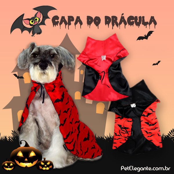 petelegante's tweet photo. O seu pet já tem a fantasia para pedir petiscos ou travessuras?😂 Olha só que capa super legal que tem na Pet Elegante😍
🐾
Tem cada fantasia legal para você se divertir com o seu pet! Acesse o nosso site: https://t.co/W79p2e0KSD
.
#petelegante #halloween #modape #filhode4patas https://t.co/VFo4dBcClg