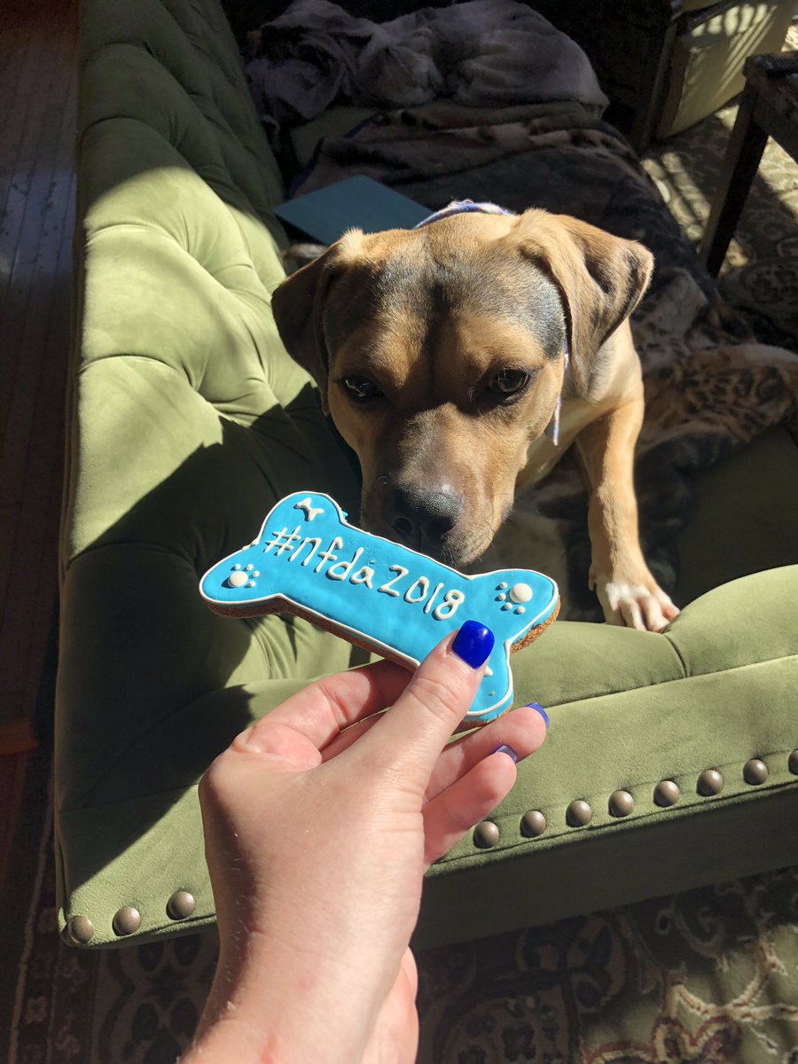 characterisfate's tweet photo. @Mod_Mortician “Thanks for my #nfda2018 treat Melissa!”-Comanche https://t.co/4SEejfobKB