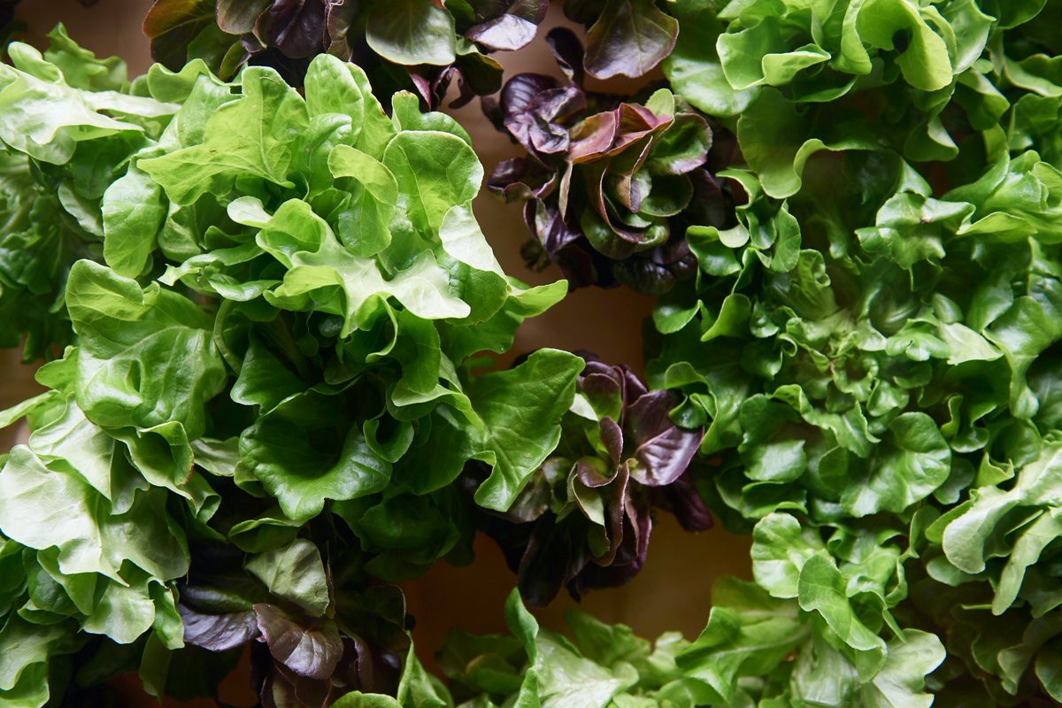 Three Square tweet media