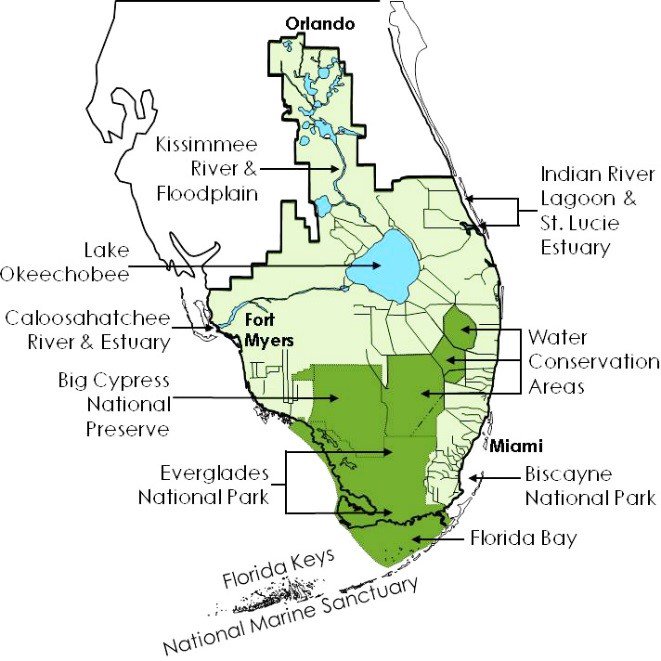 l_marazzi's tweet photo. 1/5 #SWSTwitterSymp2018 Wetland Restoration is slowly progressing in #Everglades, #MurrayDarlingBasin etc., but with high costs & social & ecological challenges. See our paper: https://t.co/mirsWZOBdx with @MaxFinlayson @EvelynGaiser @JohnKominoski @SwampThingPaul @TerraGellius https://t.co/kQJe8pQ7E1