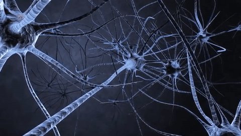 ccastrobuadas's tweet photo. En España, el alzhéimer es la enfermedad que más se teme sufrir después del cáncer. Hoy, con motivo de la jornada sobre alzhéimer https://t.co/1kn4FsrkTN, vamos a hablar de mitos ¿Atentos? Empezamos. https://t.co/bHFgDzyLrm https://t.co/ReYPJMcsVt