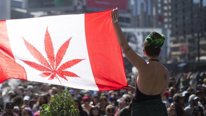 世界四季報 マリファナの天ぷら 大麻入りの飲料や食品だけでなく大麻料理もこれからブームになるのか T Co Ehbpddxsr9 世界四季報 マリファナの天ぷら 大麻入りの飲料や食品だけでなく大麻料理もこれからブームになるのか T Co Ehbpddxsr9