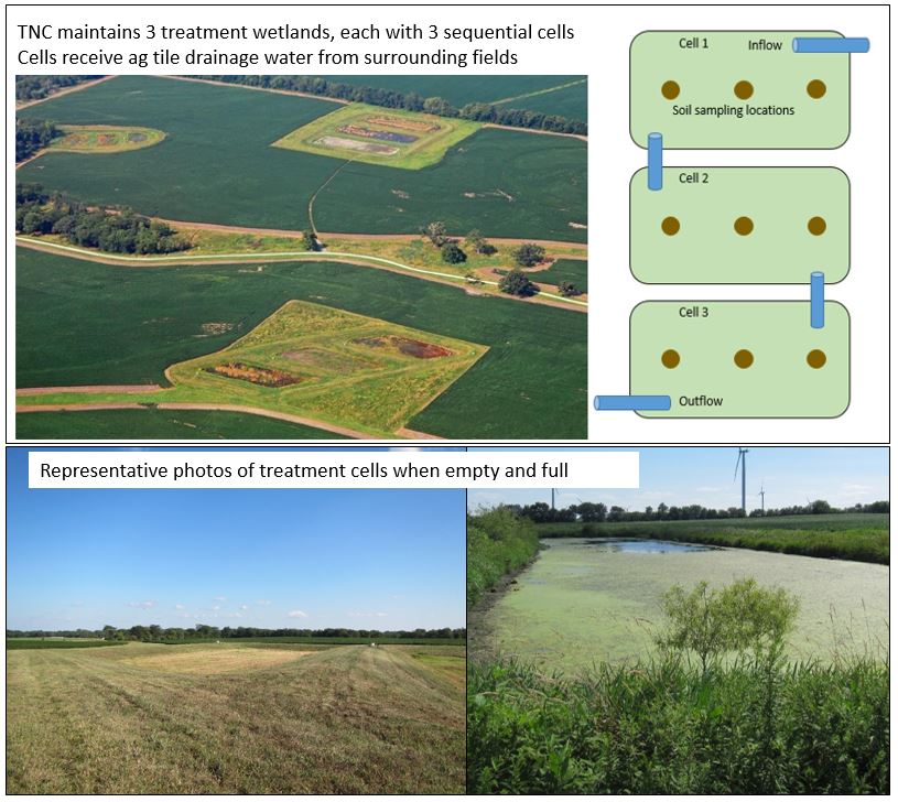 wetlandsoil's tweet photo. 1/5 #SWSTwitterSymp2018
CAN A TREATMENT WETLAND DESIGNED FOR N REMOVAL RETAIN P?
#TNC @Nature_IL maintains a series of ~10 yr old N reduction #treatmentwetlands
We investigated soil capacity 2 retain P & improve #waterquality while reducing #HAB in the Great Lakes #GLRI region https://t.co/xikSRv9N2s
