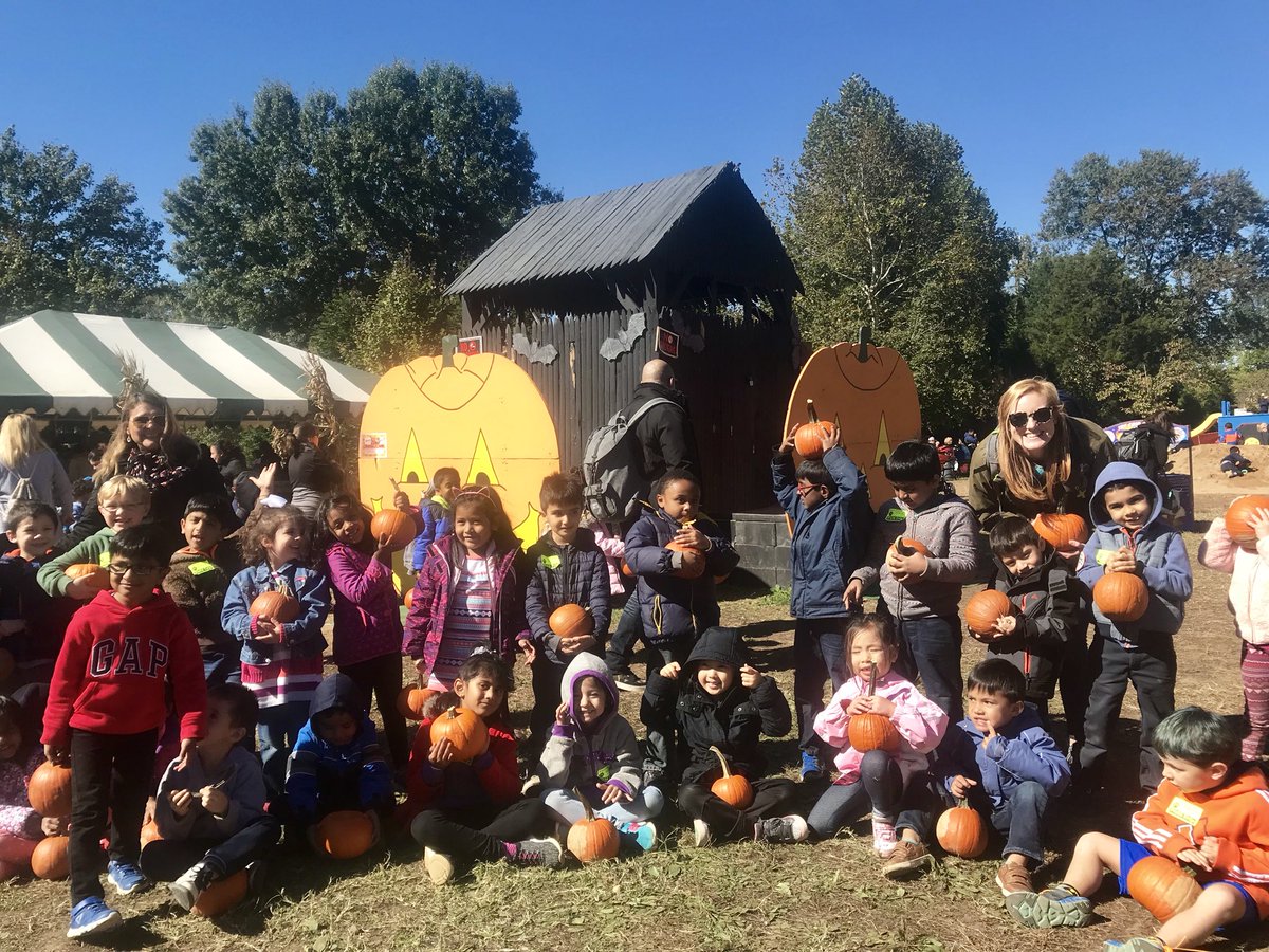 Sally Sommers tweet media