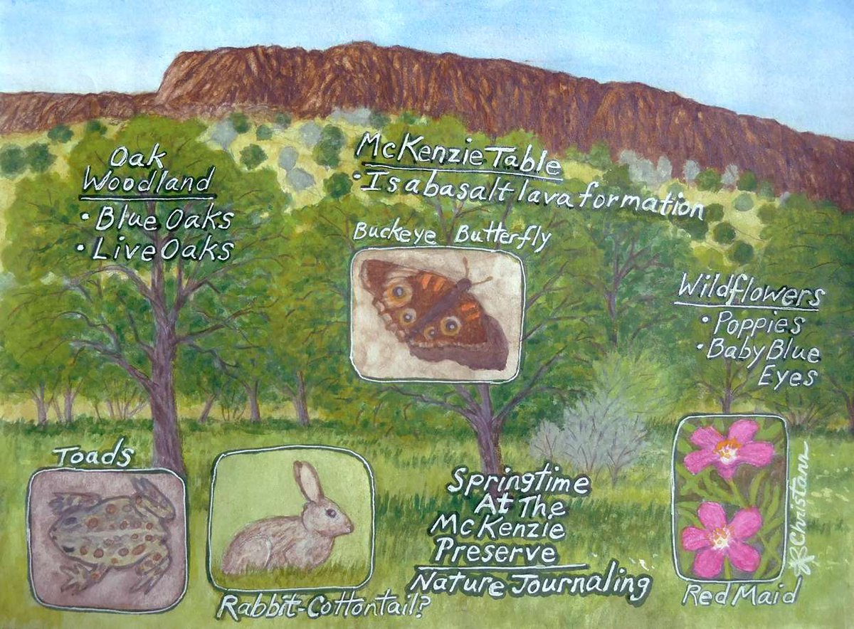 If you've ever wanted to explore one of the iconic tabletops, try your hand at nature journaling or get up close and personal with birds of prey– don't miss our Open Preserve Day sponsored by <a href="/REI/">REI</a> on Oct. 27. More info at: bit.ly/2Ct5YEG