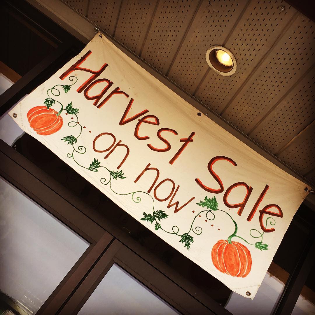 Music to our ears! #downtownwilliamslake #colourfulcaribooculture #shoplocal #eatlocal #farmtotable #veggies #explorebc #ccclives