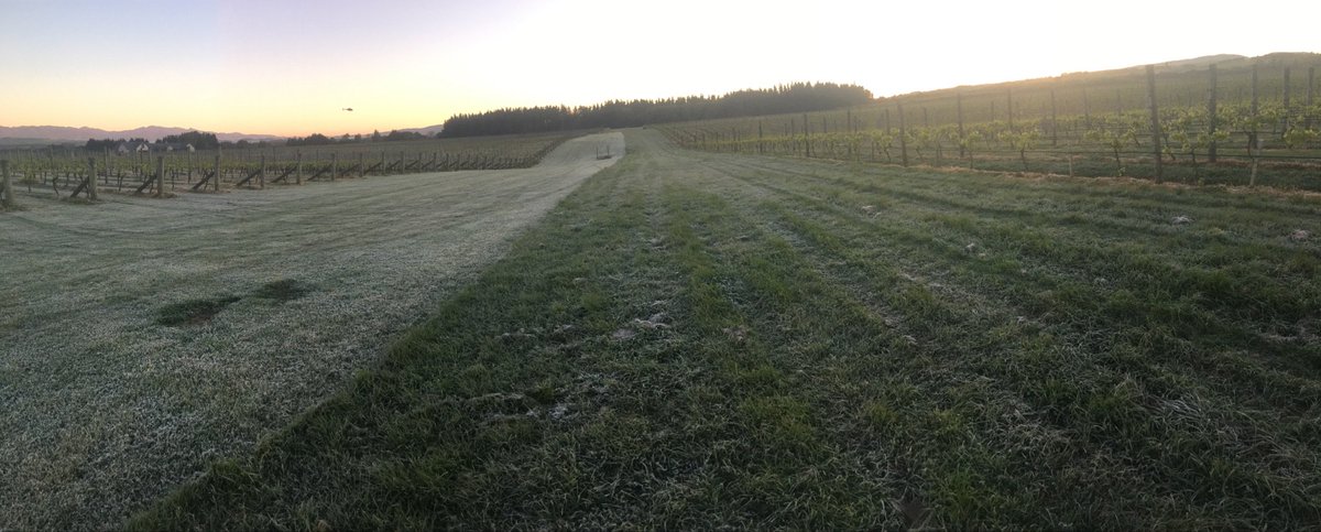 Paul Mason tweet media