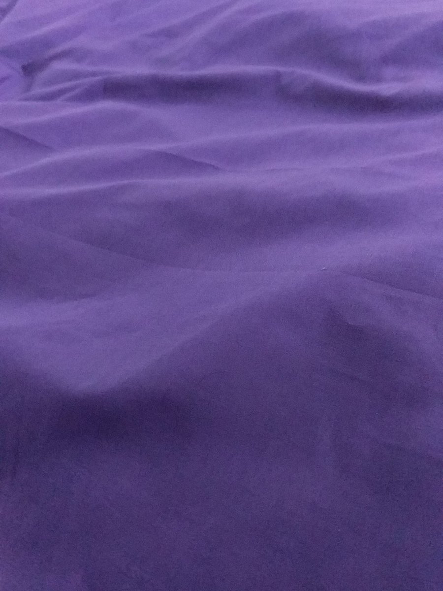 Nothing but a sea of purple this morning #spirit #purp #onecolour