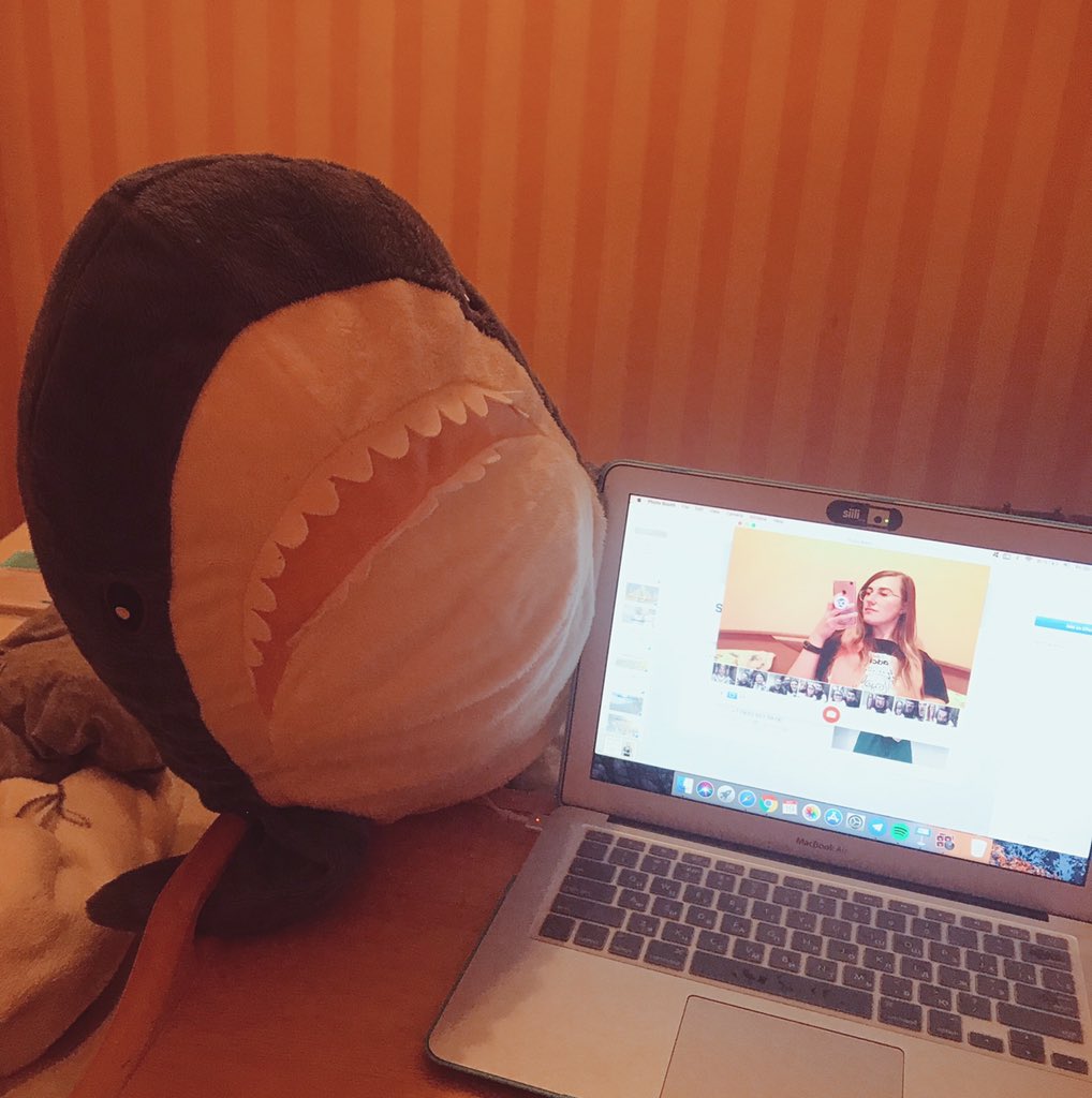 red__cat's tweet image. I’ve just delivered my first ever webinar. That was a part of the @GovDrupal webinar series. The shark and I are very grateful for this opportunity! And thank you everyone for attending 😊 #Drupal #adcisolutions