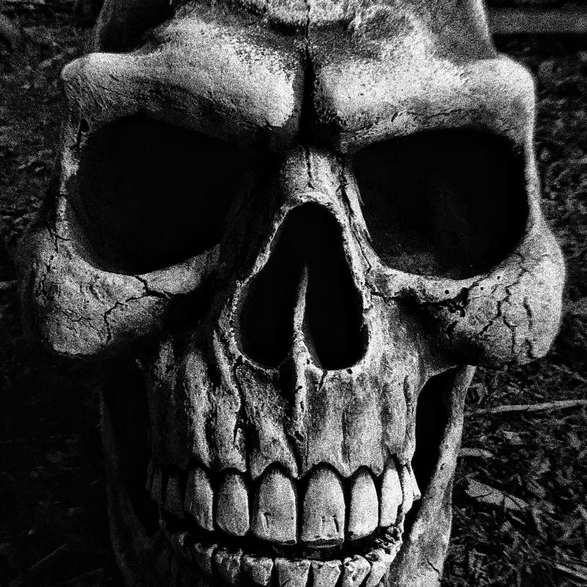 superfreakmedia's tweet photo. Had an awesome evening at @ScreamfestUK tonight with @CharlieCActress - check out our insta story for more π· #scarefestuk #scaremaze #halloween #autumn #horror #horrorfan #horrorcrew #filmmaker #filmmaking #boristheskeleton https://t.co/Hohem6dWU1