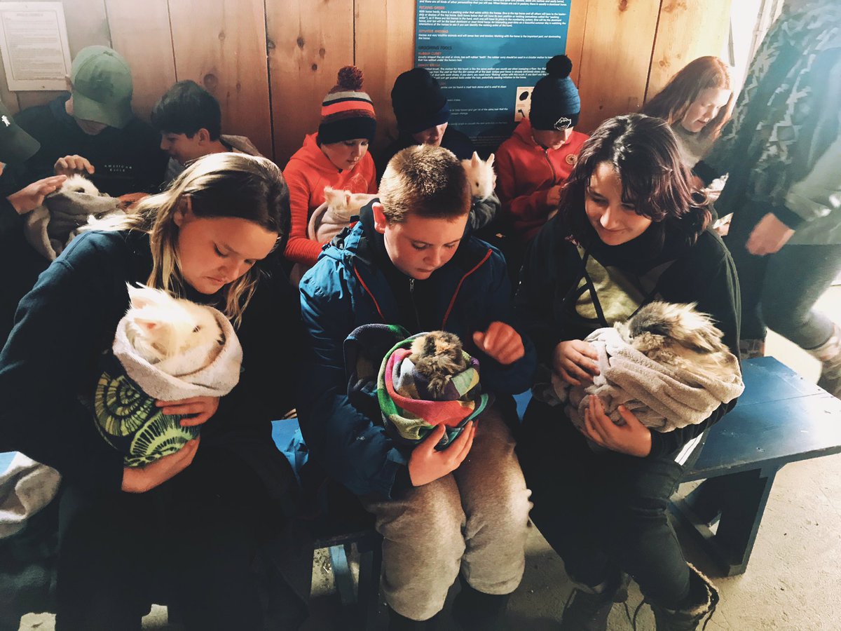 MrsOleksiuk's tweet photo. BUNNY TIME ๐ฐ #TimsCampFall2018 #Lockespride @Lockes22 https://t.co/xDkH5WB4bA