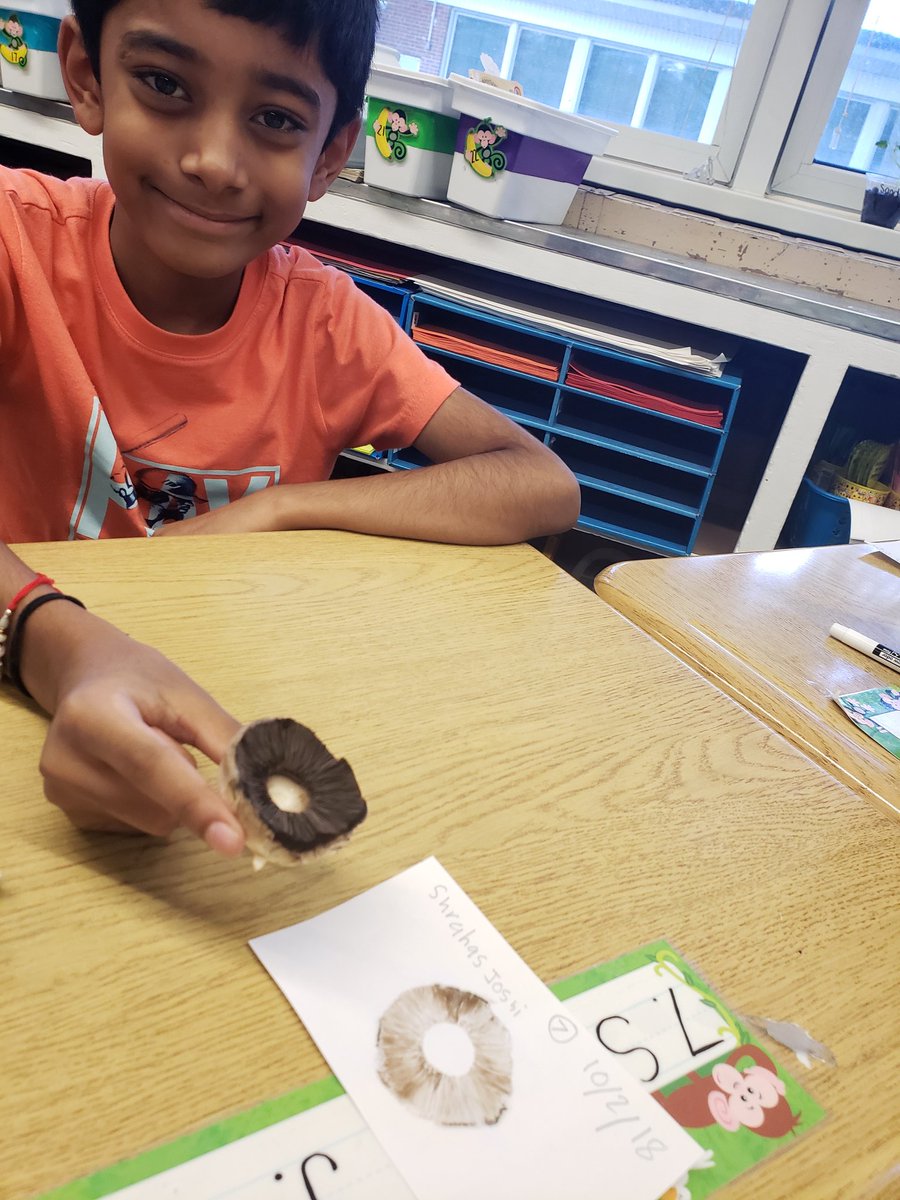nkbrown3's tweet photo. #tbt We had mixed emotions when we were exSPOREing our mushrooms. 🍄 #edisonk12 #lncproud #handsonlearning https://t.co/1ezcQdjcek