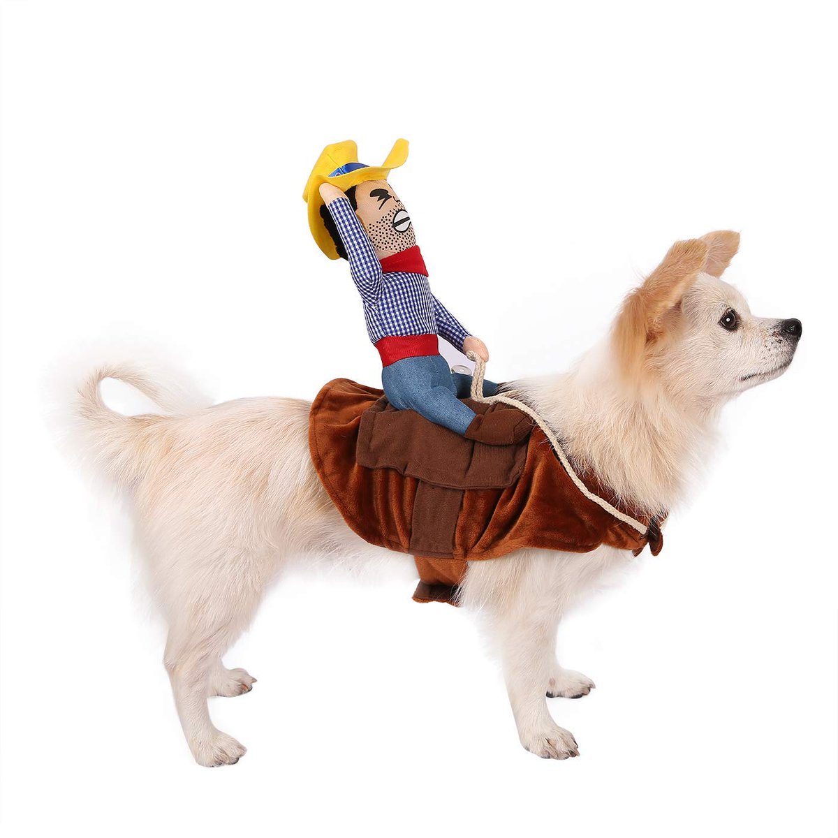 ShopHDE's tweet photo. Make this #Halloween your pet's first rodeo with this #costume from HDE!

SHOP NOW: https://t.co/IIpyxUAJgJ https://t.co/1KVjOXjIyA