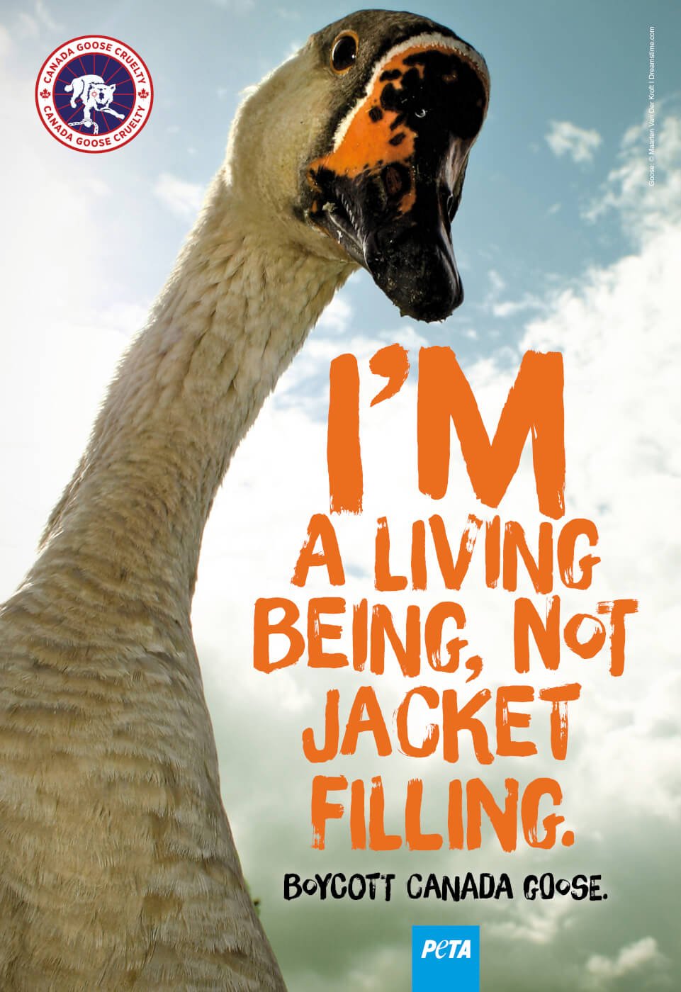Canada goose animal cruelty 2018 hot sale