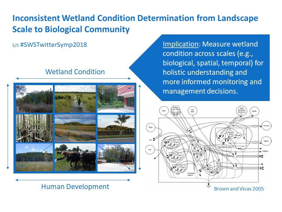 KellyReiss8's tweet photo. 5/5 #SWSTwitterSymp2018 Findings suggest variability in determination of condition stressing importance of considering #wetlands across scales (e.g., biological, spatial, temporal) and as complex systems for monitoring and management decisions. Thanks for reading! https://t.co/WKjY117WtG