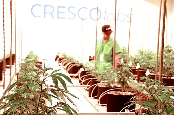 OHFam4Change's tweet photo. Cresco Labs Opens Its Doors https://t.co/BmdUNTf7Lf #ohiofamiliesforchange #MRR https://t.co/KZRN4azbOB
