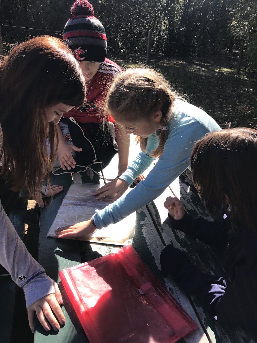 Stephanie Daly, Ed.D. tweet media