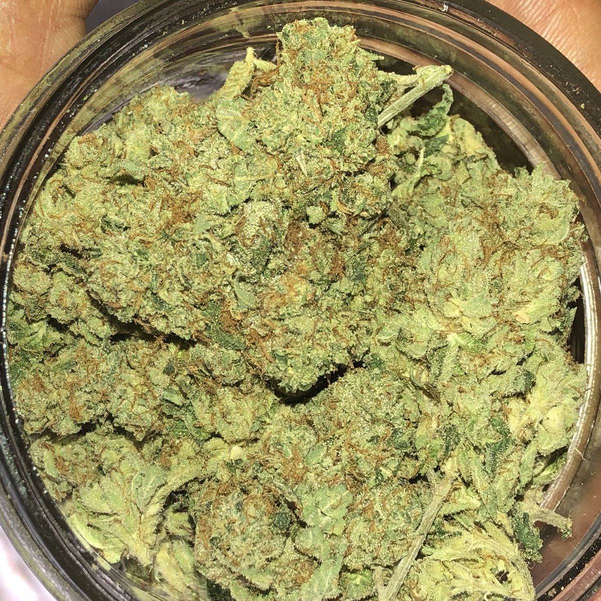 CHEVYWOODS's tweet image. ⛽️