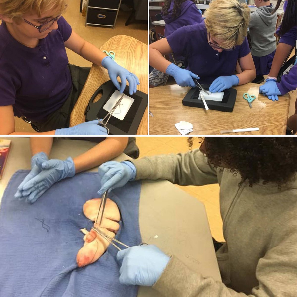 beaglefreedom's tweet photo. RFP Kid finds cruelty-free alternative to science lesson! When Felix, a compassionate RFP Kid, found out her 7th grade science class was using pig feet to learn how to suture a wound, she jumped into action.

More: https://t.co/14WxbHyV6z https://t.co/g7pwnpG6uA