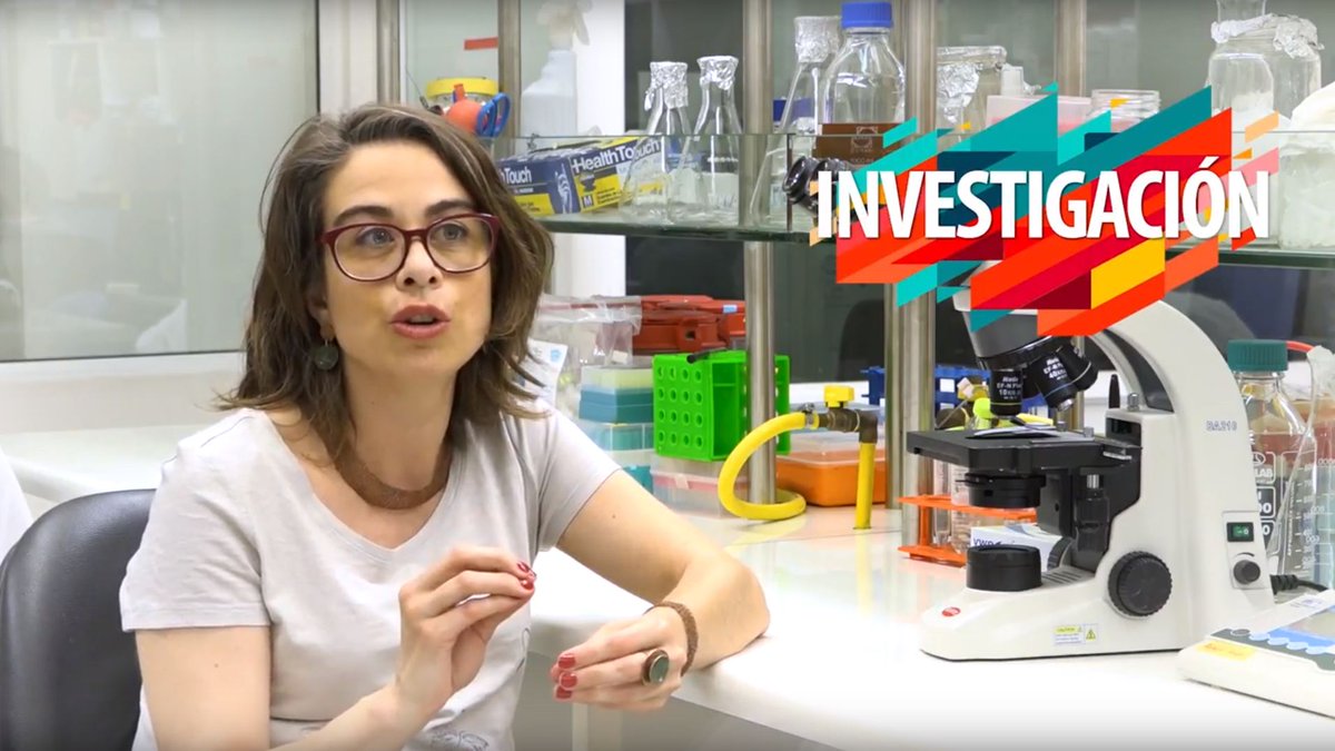 13iChile's tweet photo. Nicole Trefault, investigadora del Centro de Genómica y Bioinformática de la #UMayor, relata su investigación en mares de Canadá a Groenlandia | https://t.co/HXq83tzy3o
@DiarioMayor #Océanos #RECinnova https://t.co/nGls32coQ1